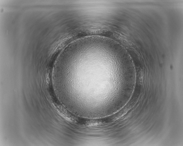 X0000060750746200511141158