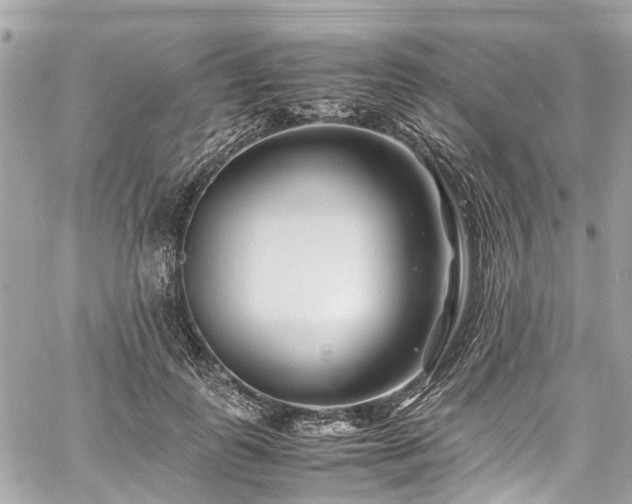 X0000060750747200511141158