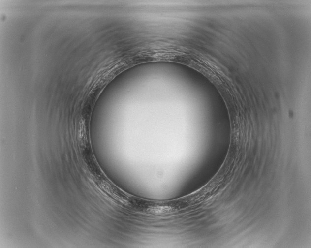 X0000060750748200511141158