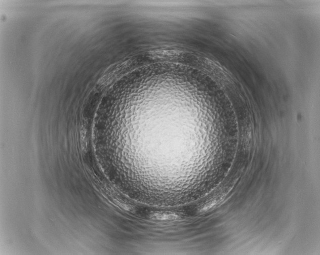 X0000060750749200511141158