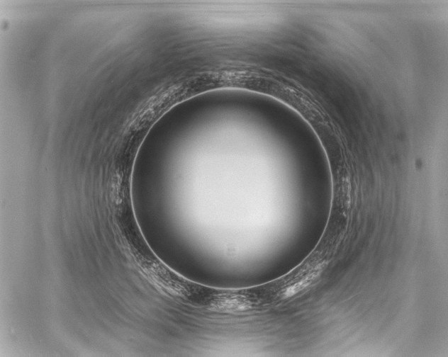 X0000060750750200511141158