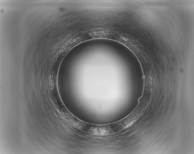 X0000060750751200511141158