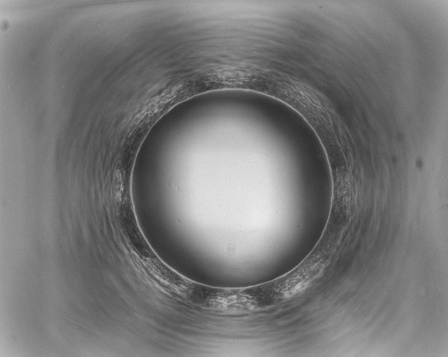 X0000060750752200511141158