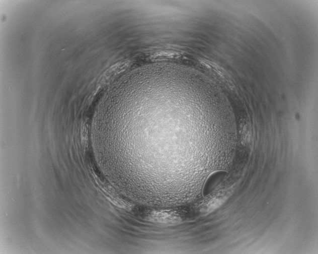 X0000060750753200511141158