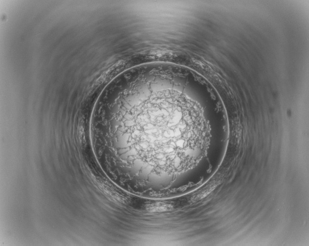 X0000060750754200511141158