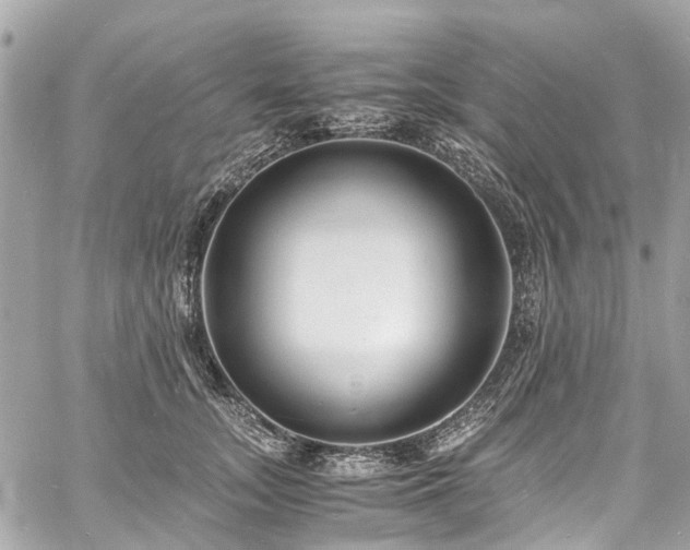 X0000060750755200511141158