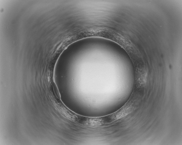 X0000060750758200511141158