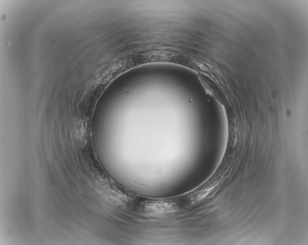 X0000060750759200511141158