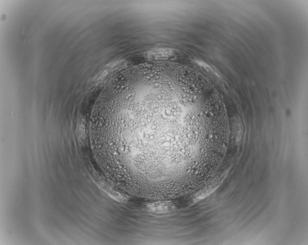 X0000060750761200511141158