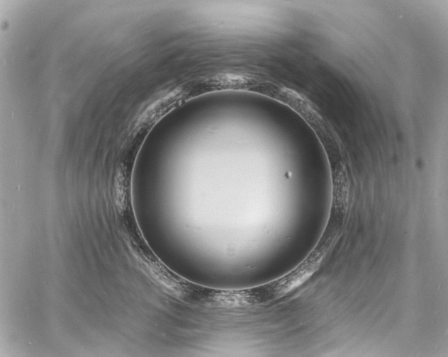 X0000060750762200511141159