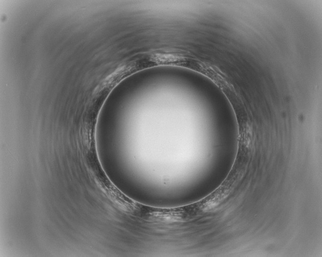 X0000060750763200511141159