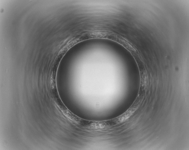 X0000060750764200511141159