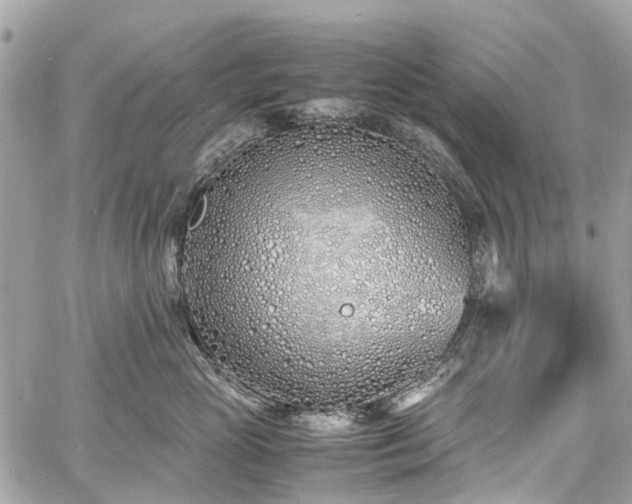 X0000060750765200511141159