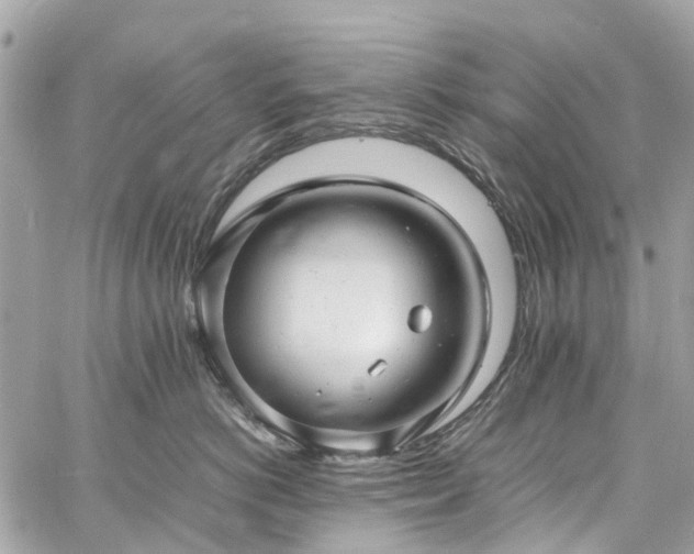 X0000060750766200511141159