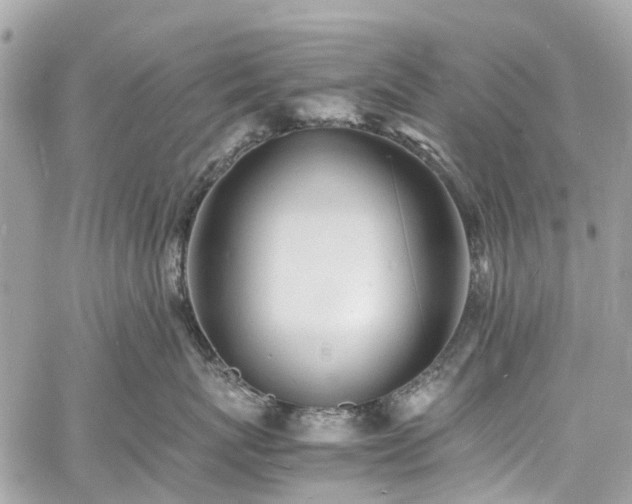 X0000060750767200511141159