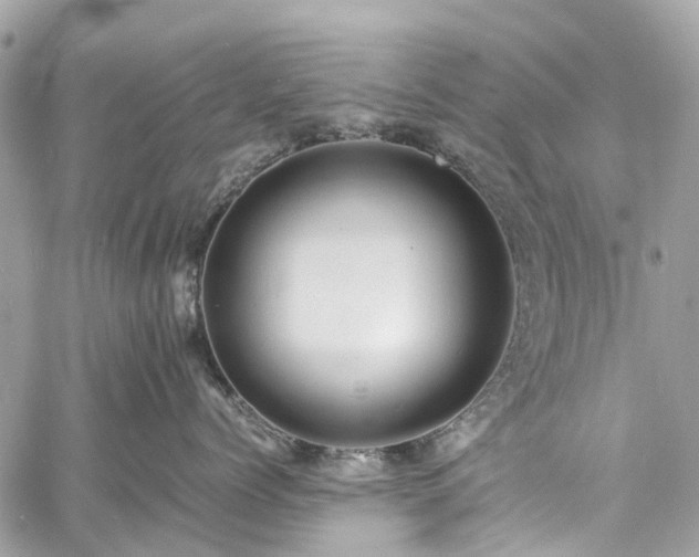 X0000060750768200511141159