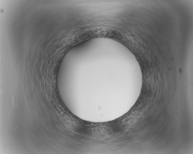 X0000060750769200511141158