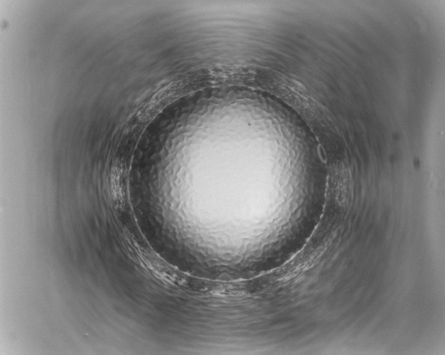 X0000060750770200511141158