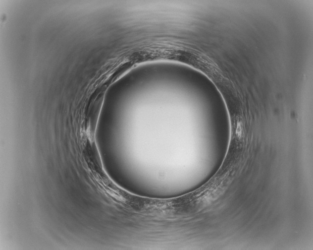 X0000060750771200511141158