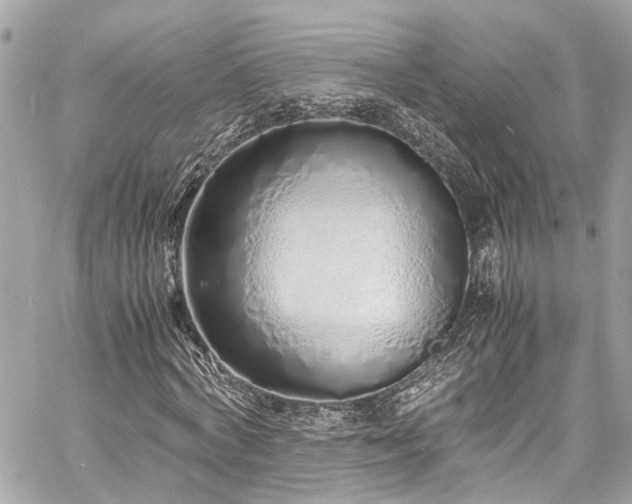 X0000060750772200511141158