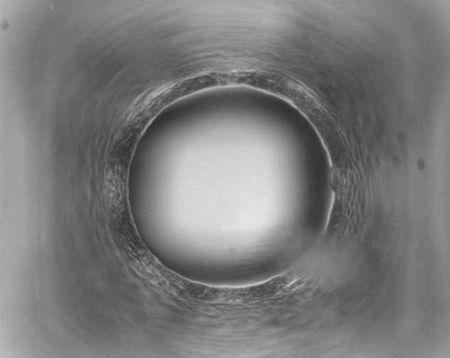 X0000060750773200511141158