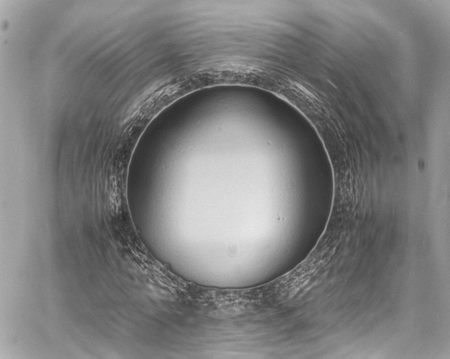 X0000060750774200511141158