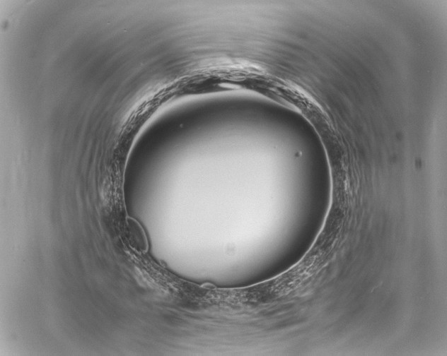 X0000060750775200511141158