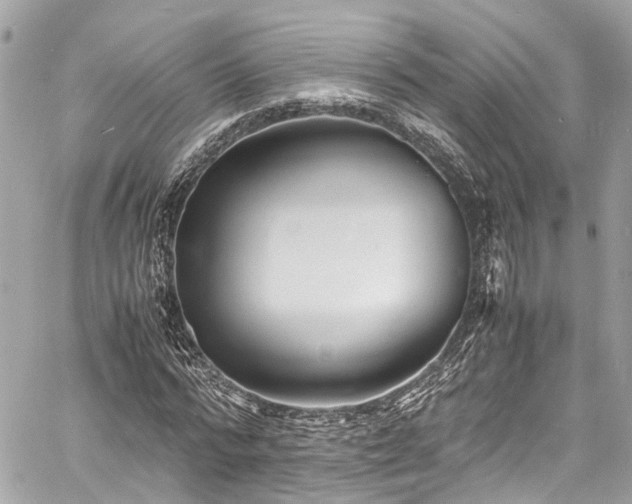 X0000060750776200511141158