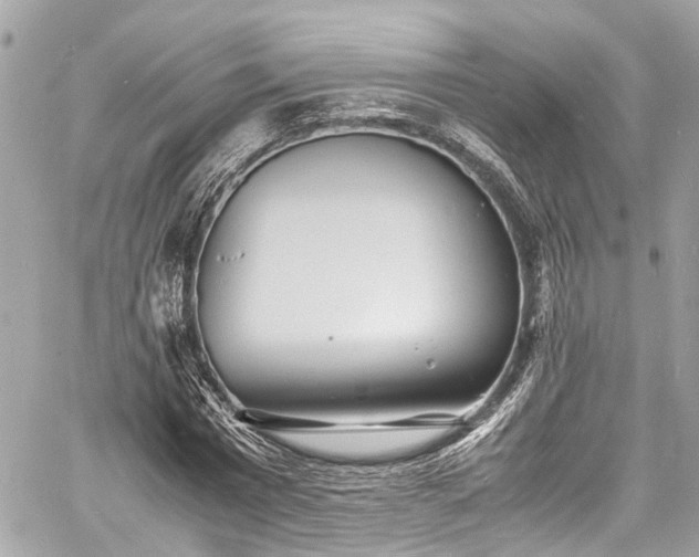 X0000060750777200511141158