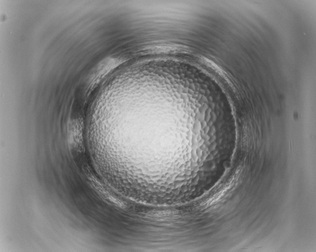 X0000060750778200511141158