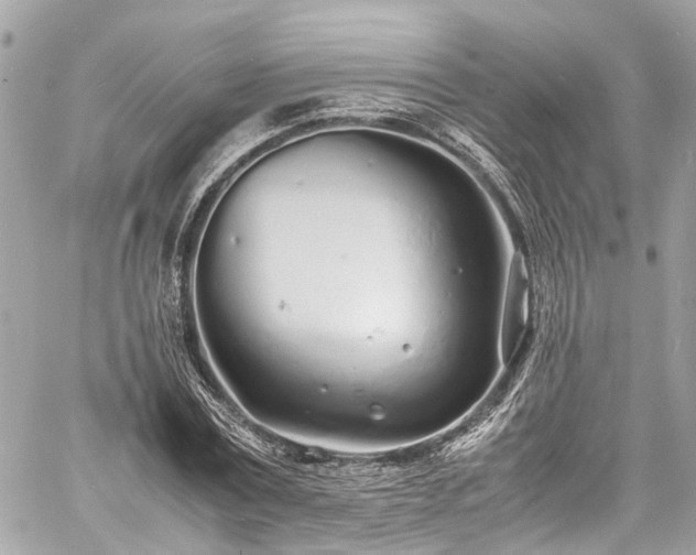 X0000060750779200511141158