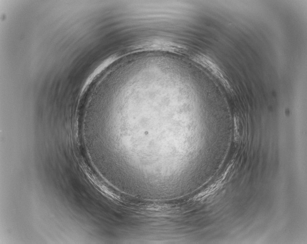 X0000060750780200511141158