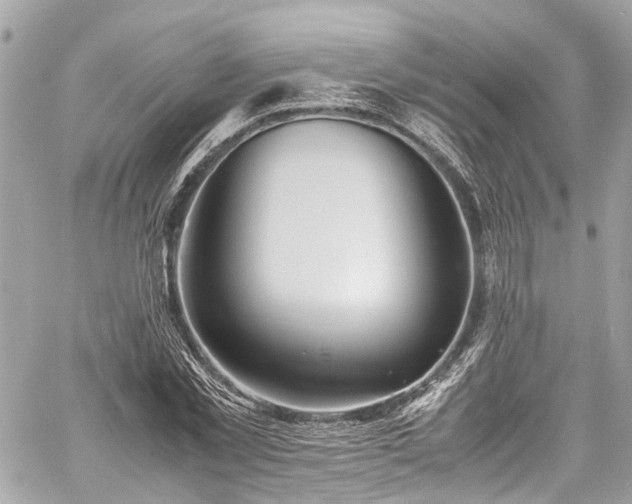 X0000060750781200511141158