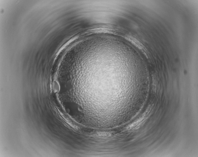 X0000060750782200511141158