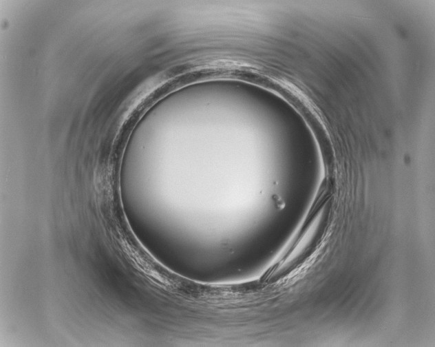 X0000060750783200511141158