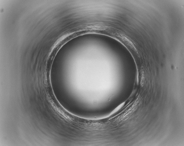 X0000060750784200511141158