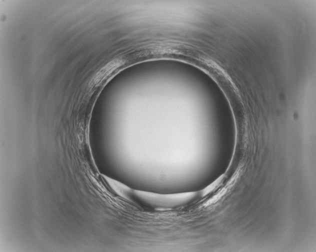 X0000060750785200511141158