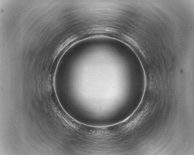 X0000060750786200511141158