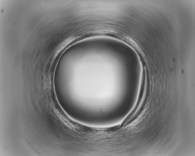 X0000060750787200511141158