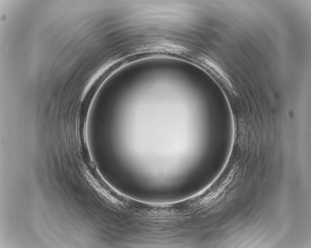 X0000060750788200511141157