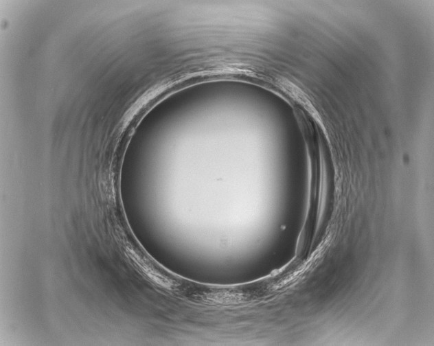 X0000060750789200511141157