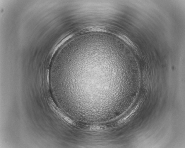 X0000060750790200511141157