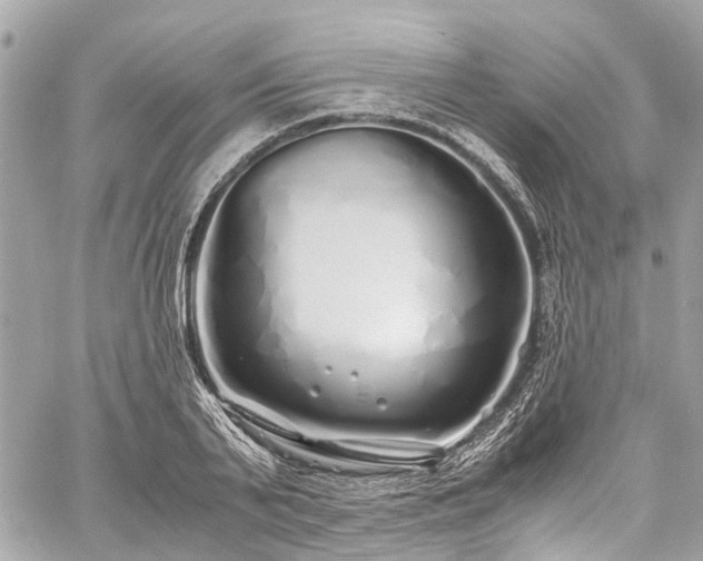 X0000060750791200511141157