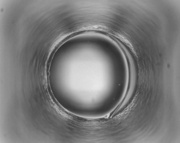 X0000060750792200511141157