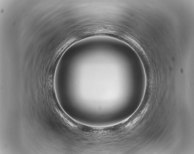 X0000060750793200511141157