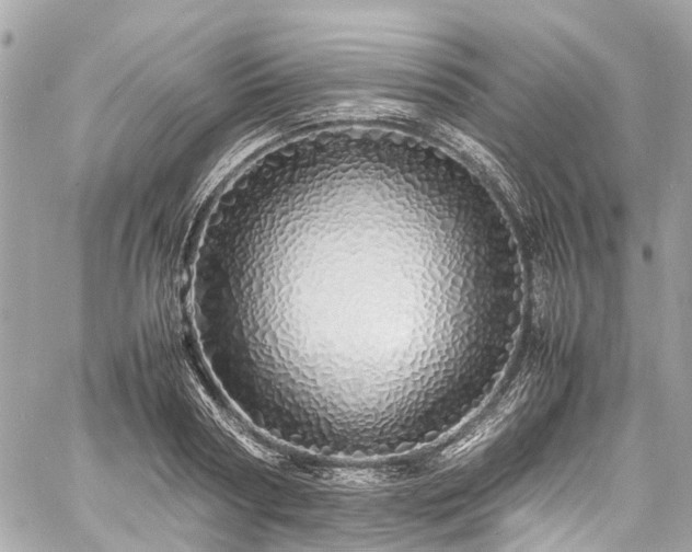 X0000060750794200511141157