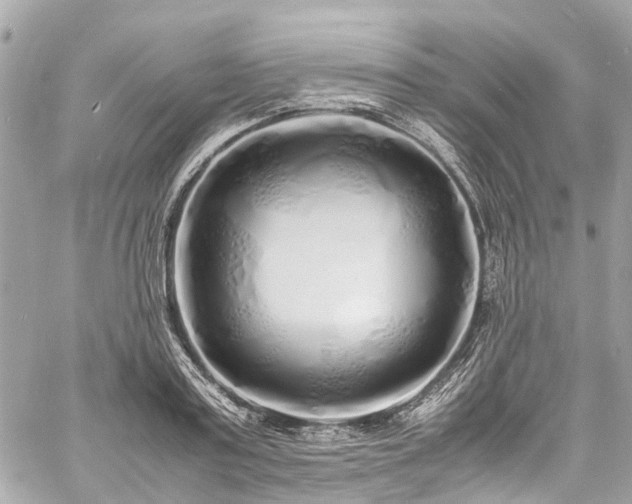 X0000060750795200511141157