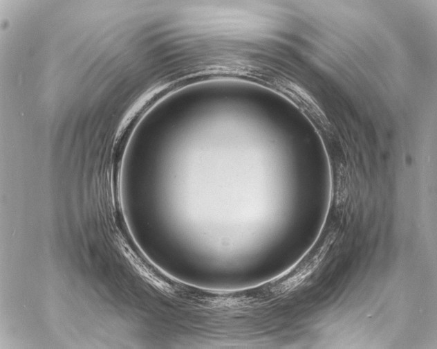 X0000060750796200511141157