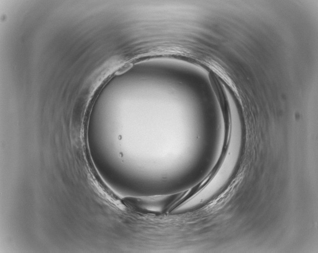 X0000060750797200511141157