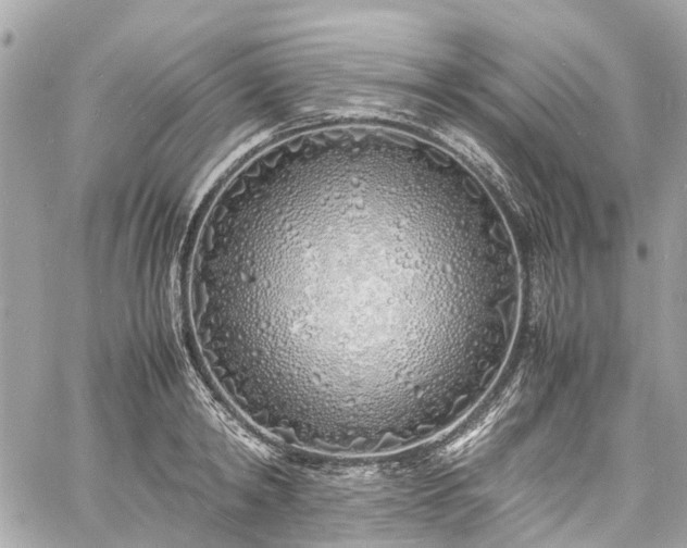 X0000060750798200511141157